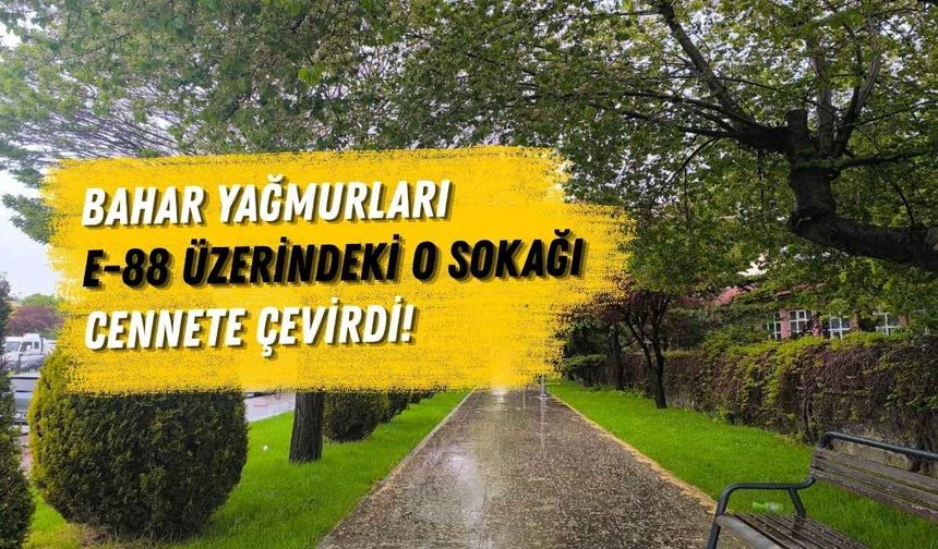 Bahar Yağmurları E-88 Üzerindeki O Sokağı Cennete Çevirdi!