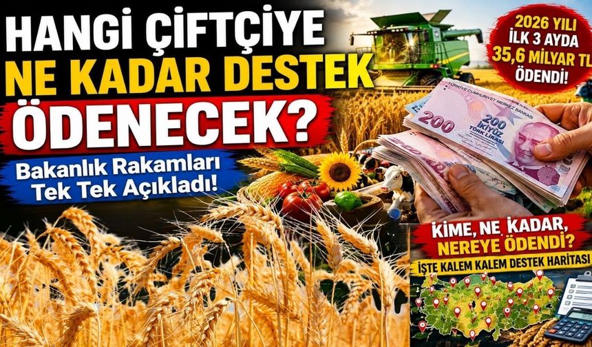 Hangi Çiftçiye Ne Kadar Destek Ödenecek? Bakanlık Rakamları Tek Tek Açıkladı
