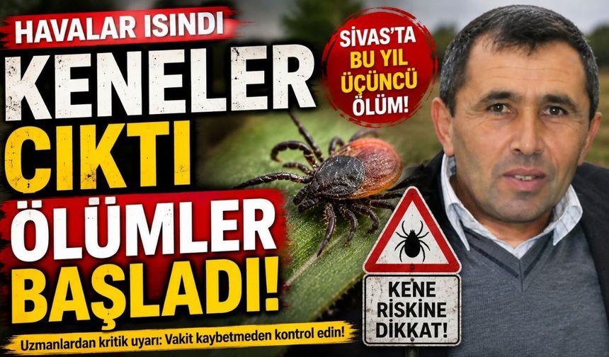 Havalar Isındı Keneler Çıktı Ölümler Başladı!
