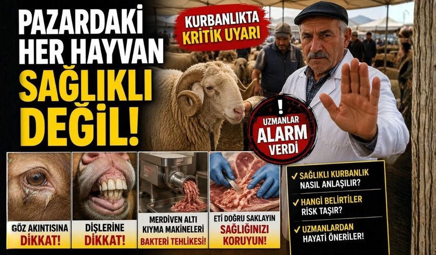 Pazardaki Her Hayvan Sağlıklı Değil! Kurbanlıkta Kritik Uyarı