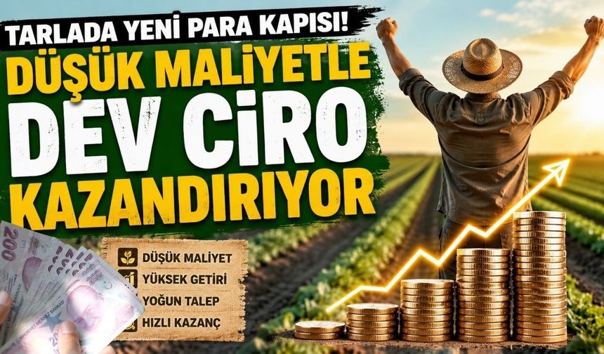 Tarlada Yeni Para Kapısı! Düşük Maliyetle Dev Ciro Kazandırıyor