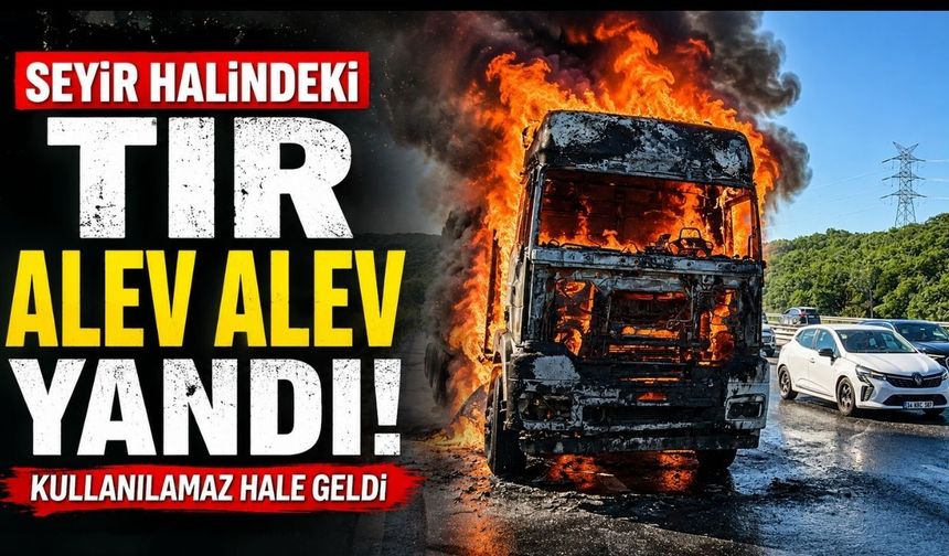 Seyir halindeki tır alev alev yandı