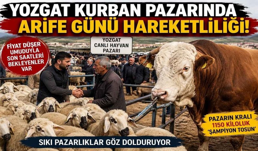 Yozgat Kurban Pazarında Son Mesai: Besici Satmak, Vatandaş Uygun Fiyat Bulmak İçin Yarışıyor