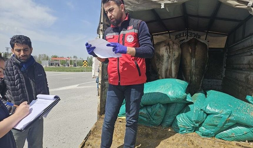 Yozgat'ta Bayram Öncesi Ceza Yemeyin