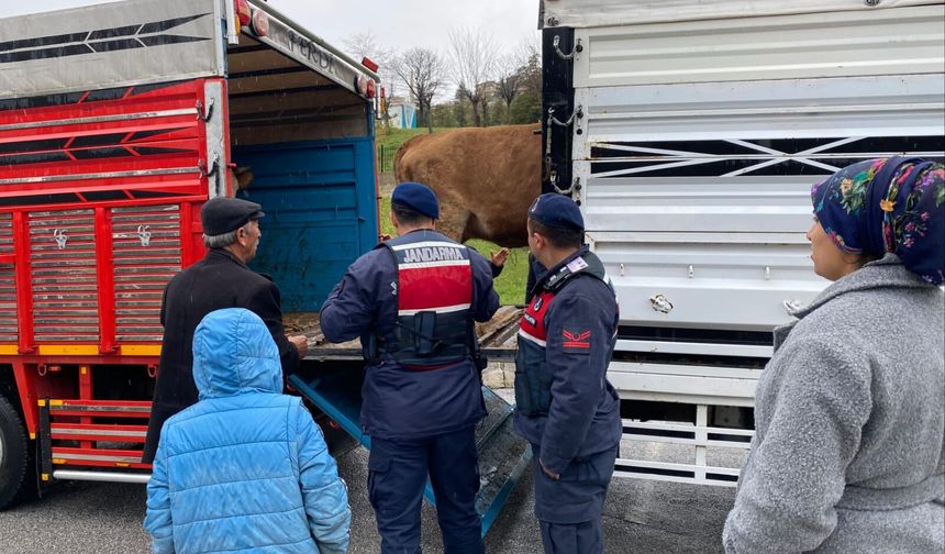 Yozgat'ta Jandarma Harekete Geçti: Zorla Alınan Hayvanlar Teslim Edildi