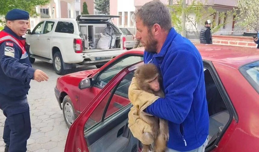 Yozgat’ta Köy Yolunda Gizemli Misafir!