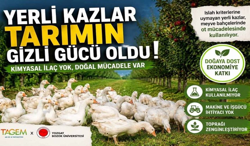 Yozgat’ta Reforme Kazlar Tarımın Gizli Gücü Oldu!