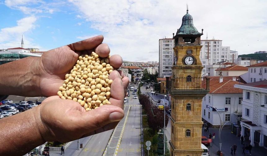 Yozgat’ta Üreticilere Üreticilerine Pas ve Septorya Uyarısı