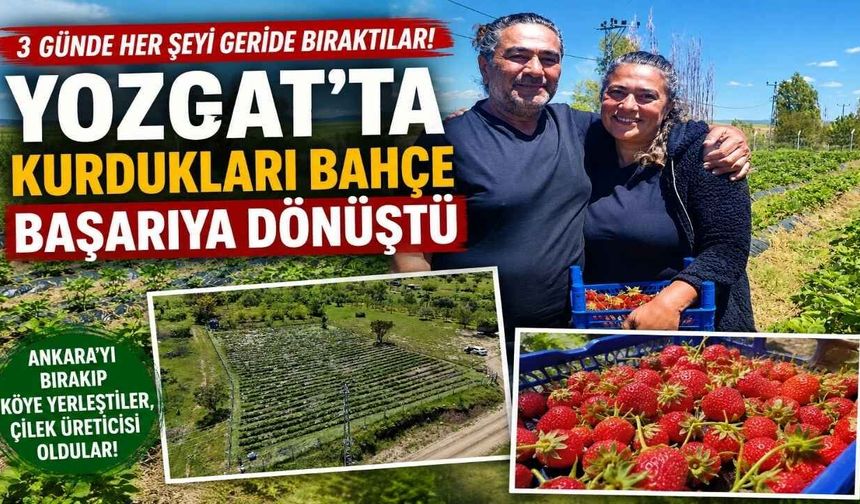 3 Günde Her Şeyi Geride Bıraktılar: Yozgat'ta Kurdukları Bahçe Başarıya Dönüştü