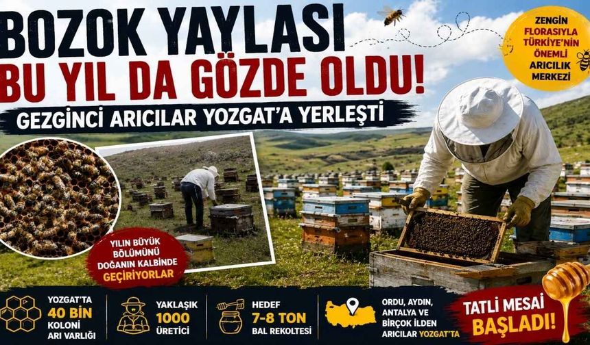 Bozok Yaylası Bu Yıl da Gözde Oldu! Gezginci Arıcılar Yozgat'a Yerleşti