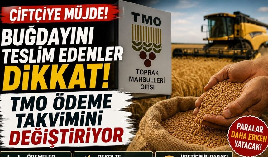Buğdayını Teslim Edenler Dikkat! TMO Ödeme Takvimini Değiştiriyor