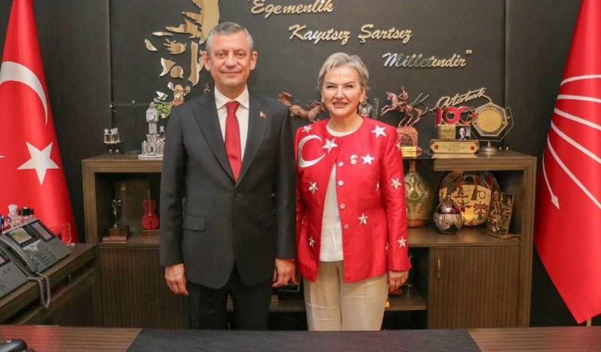 CHP'li Milletvekil Nimet Özdemir Kimdir? Nimet Özdemir Neden İstifa Etti?