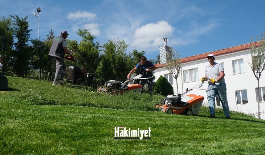 Haberimiz Yozgat Belediyesini Harekete Geçirdi: Parklarda İlaçlama Başladı