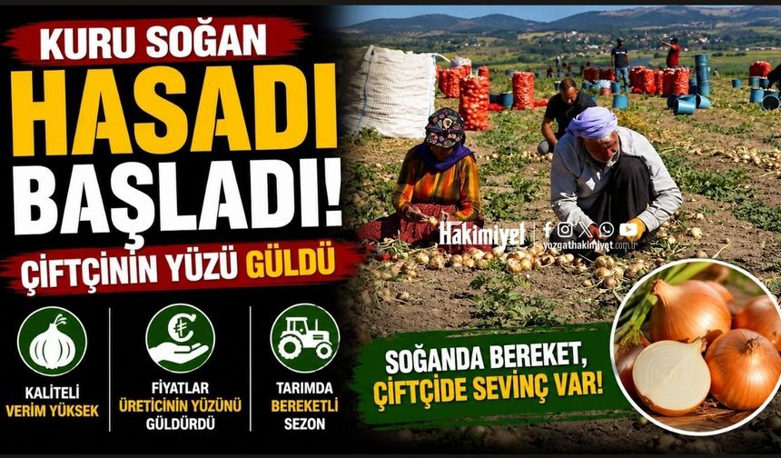 Kuru soğan hasadı başladı: Çiftçinin yüzü güldü