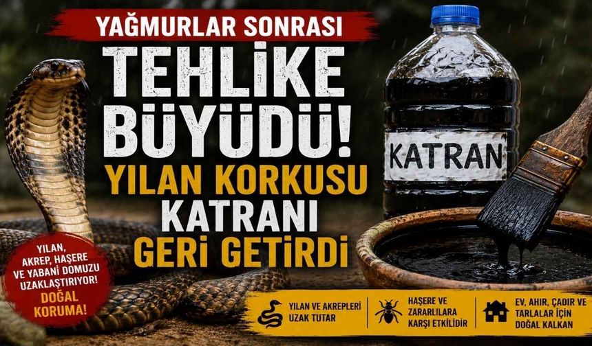 Yağmurlar Sonrası Tehlike Büyüdü! Yılan Korkusu Katranı Geri Getirdi