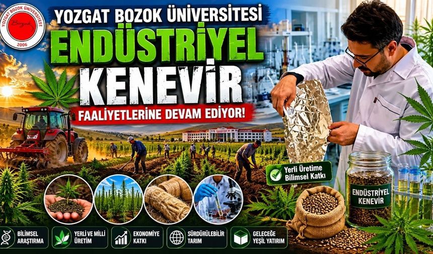 Yozgat Bozok Üniversitesi “Endüstriyel Kenevir” Faaliyetlerine Devam Ediyor
