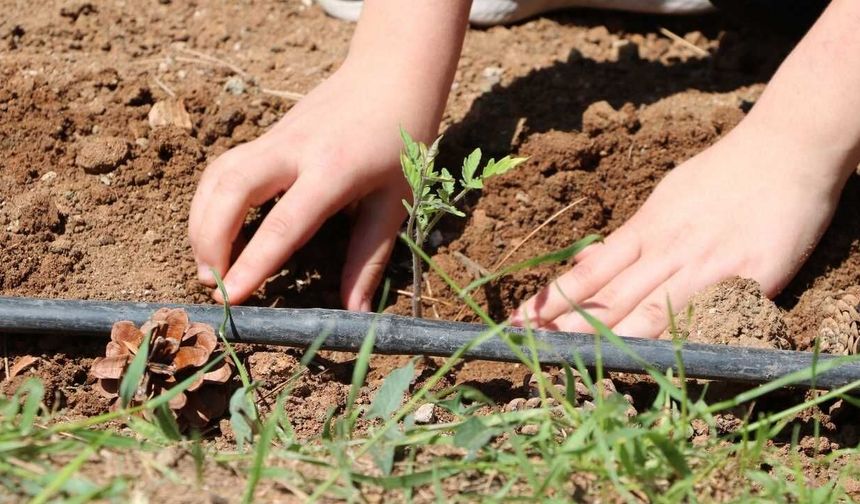 Yozgat İl Milli Eğitim’den Dev Adım: 'Köklerden Geleceğe' Uzanan O Proje Başladı!