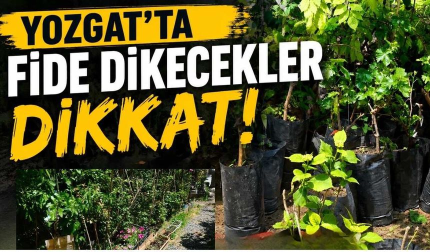 Yozgat’ta Fide Dikecekler Dikkat! Gün Dönümüne Kadar Süreniz Var