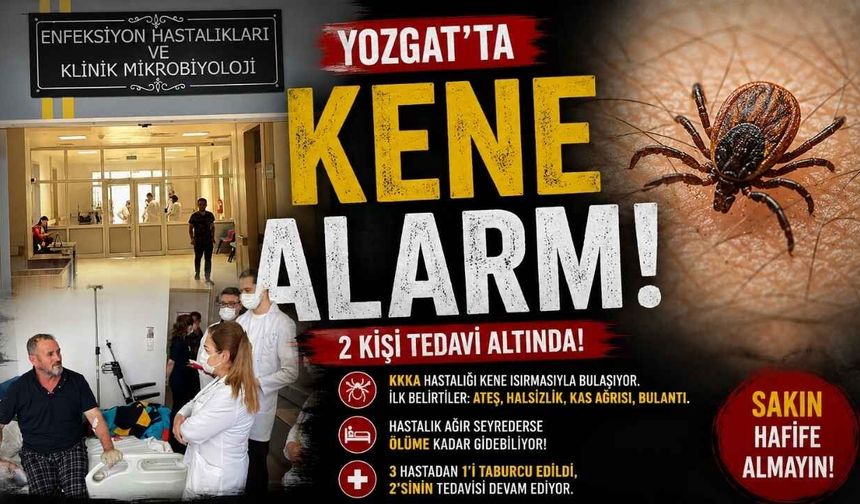 Yozgat’ta Kene Alarmı! 2 Kişi Tedavi Altında!