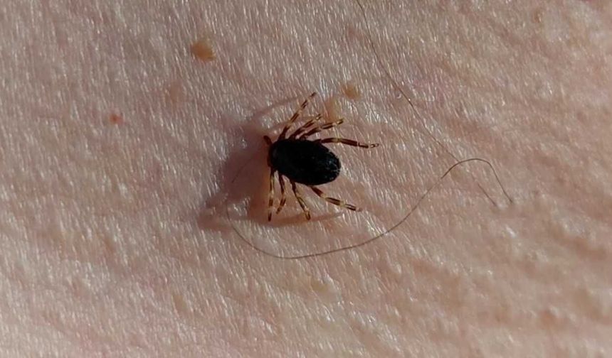Yozgat’ta Ölümcül Risk Kapıda: Doğru Bilinen Yanlışlara Dikkat!