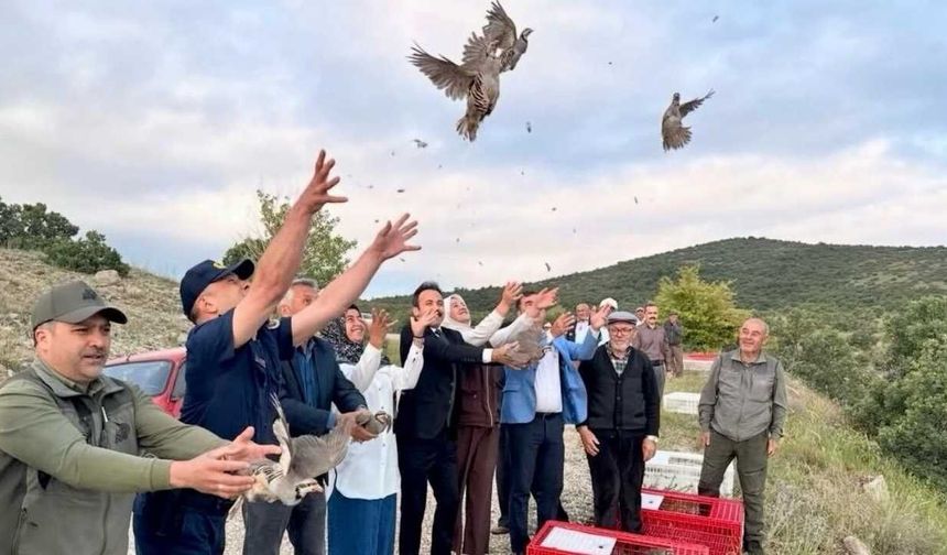Yozgat’ta Üretilen 900 Adet Gizli Güç Kırşehir’de Doğaya Salındı!