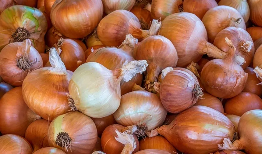 Bakanlıktan kuru soğan tedbiri! Gümrük vergisi yeniden düzenlendi