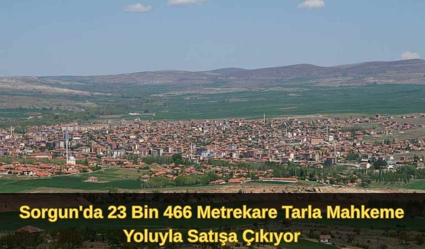 Yozgat'ta Dev Tarla Mahkemeden Satışa Çıkıyor