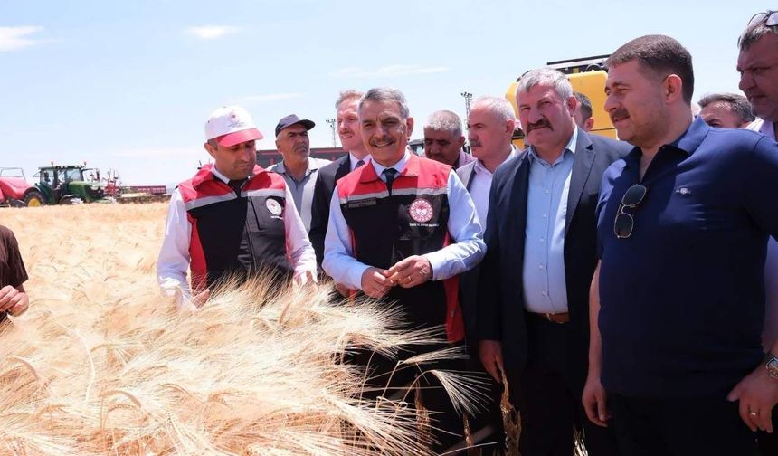 Tarım ve Hayvancılık Yozgat Ekonomisinin Temelini Oluşturuyor