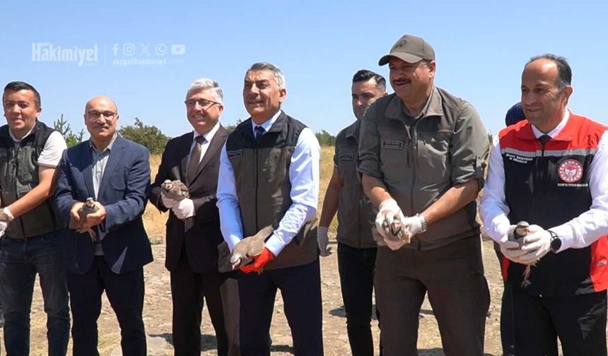 Yozgat Çamlık’ta Yüzlerce Keklik Aynı Anda Kanat Çırptı