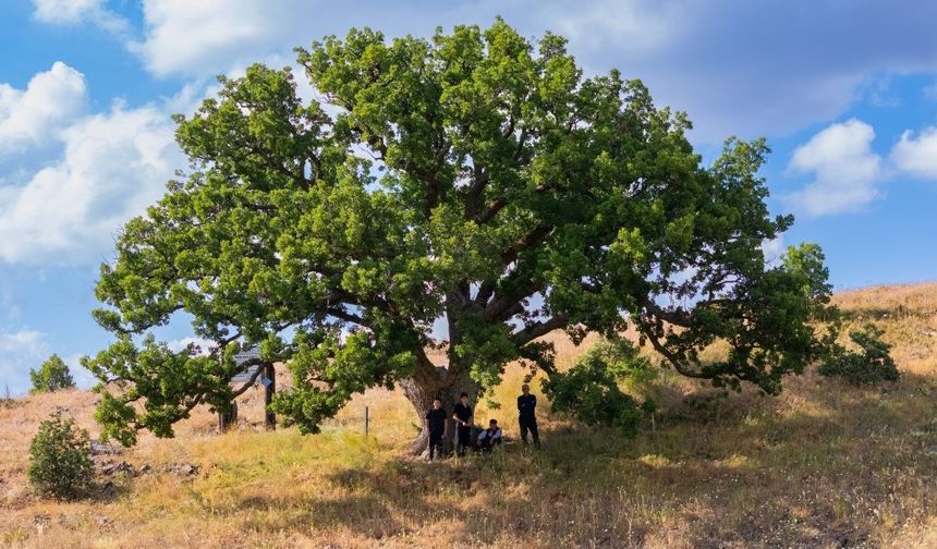 Yozgat'ta 554 Yıllık Anıt Köylülere Emanet
