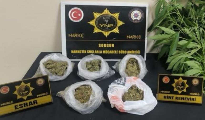Yozgat'ta Dev Narkotik Operasyonu! Aramalarda Çıkanlar Şaşırttı