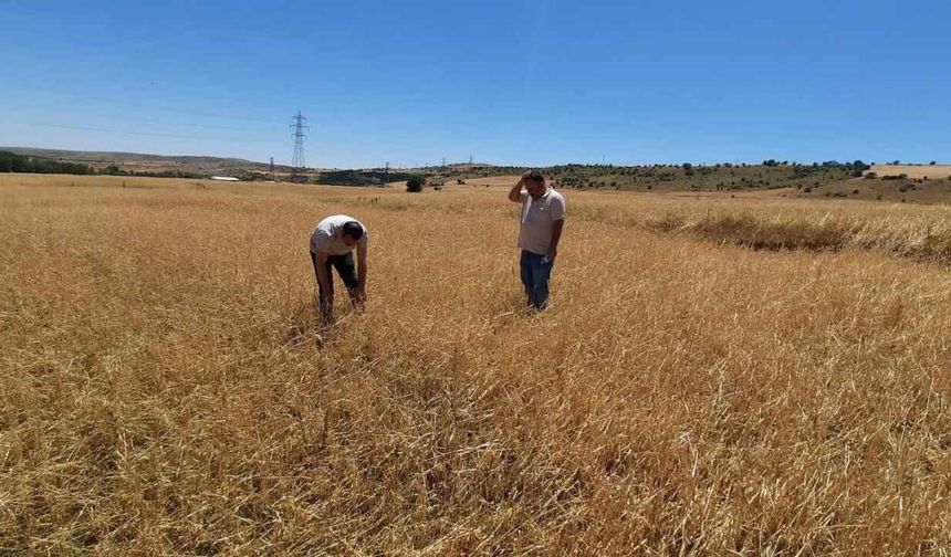 Yozgat'ta Dolu Zararı: 9 Köyde Hasar Tespit Çalışmaları Başladı