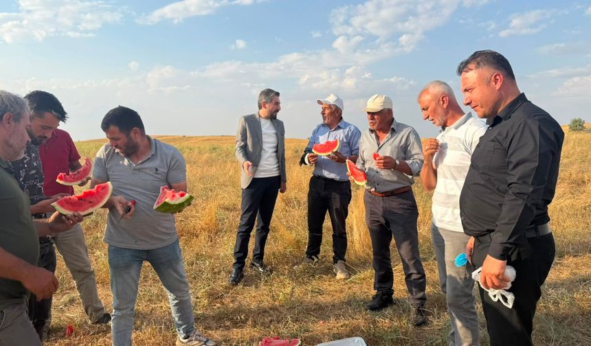 Yozgat'ta Hasat Bereketi: AK Parti İlçe Başkanı Çiftçileri Ziyaret Etti
