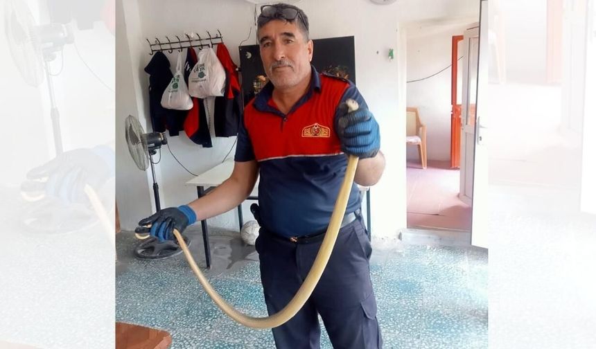 Yozgat'ta Motor Kaputunu Açtı: Küçük Dilini Yuttu