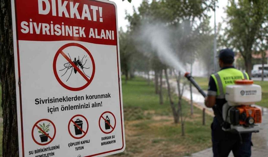 Yozgat'ta Artan Hava Sıcaklıkları Yeni Tehlikelere Davetiye Çıkarıyor