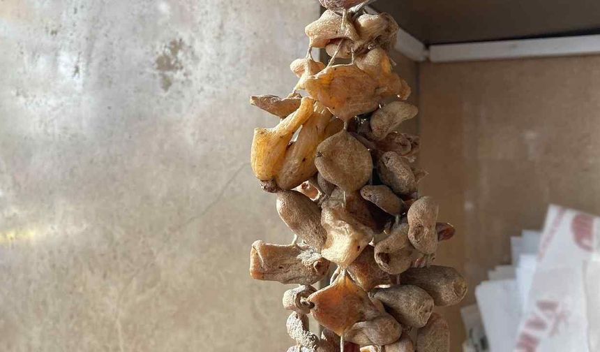 Yozgat Salep Yetiştiriciliğinde Öne Çıkan İller Arasında