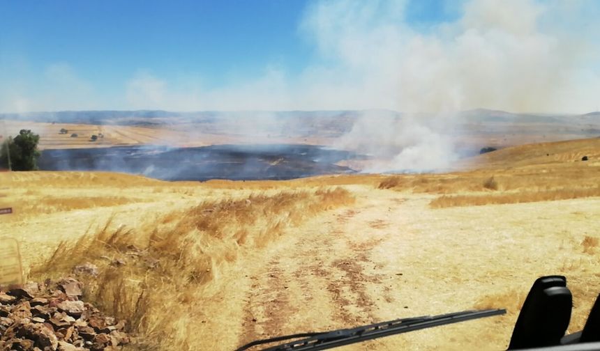 Saraykent’te Korkutan Anız Yangını: 300 Dönümlük Arazi Kül Oldu