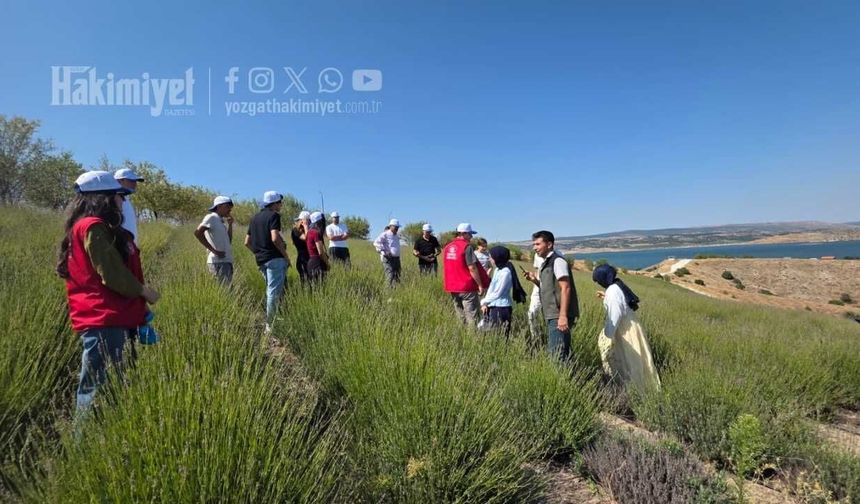 Tarlada Gençlik Aşısı: Yozgatlı Gençler Çiftçinin İmdadına Koştu