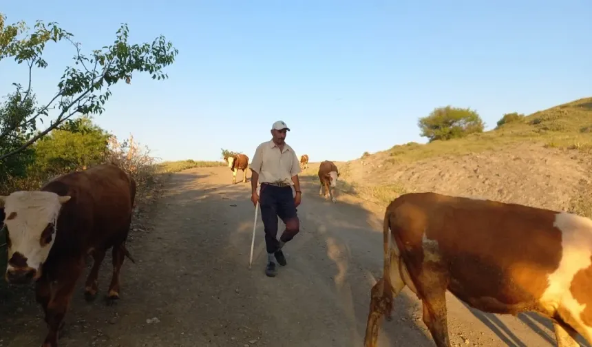 Yozgat Akdağmadeni’nde Çoban Alımı İçin Kurs Düzenlenecek