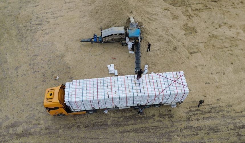 Yozgat'ta saman fiyatı 10 liradan 3 liraya düştü: Karadeniz'e sevkiyat başladı