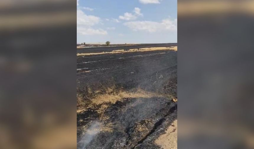 Yozgat’ta Anız Ateşi Alarmı! Bin Dönümlük Alan Yandı
