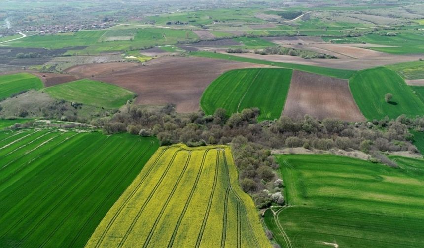 Yozgat'ta Belediye Duyurdu: Arsalar Uygun Fiyata Satılıyor!