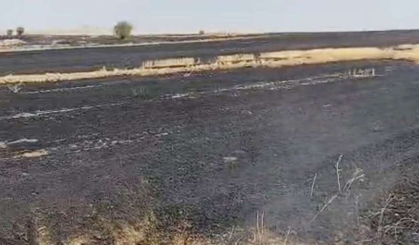 Akdağmadeni’nde Anız Yangınına 3 Bin 706 TL Ceza