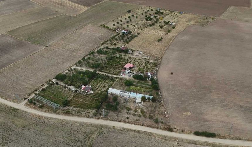 Bozkır'ın Ortasında Yozgat'ta Emekli Öğretmen Yeşil Cennetini Kendi Kurdu