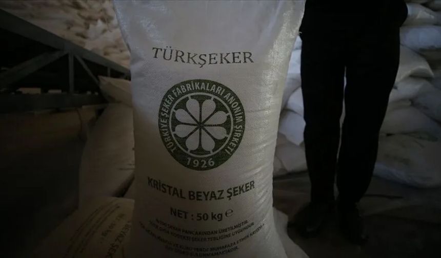 TÜRKŞEKER 2026-2027 Şeker Pancarı Alım Fiyatını Açıkladı: İşte Ton Fiyatı!