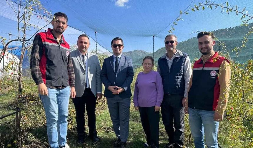Çayıralan Tarlalarında Şifa Deposu Goji Berry Yetişiyor