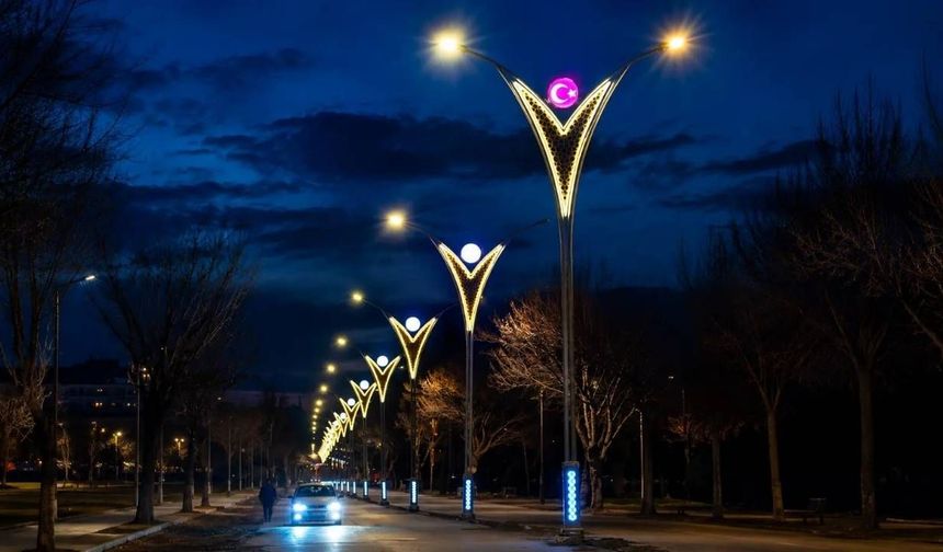 AYDINLATMA DİREĞİ SATIN ALINACAKTIR
