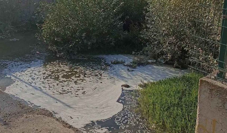 Sorgun’da Delibaş Deresi Temizlik Bekliyor!