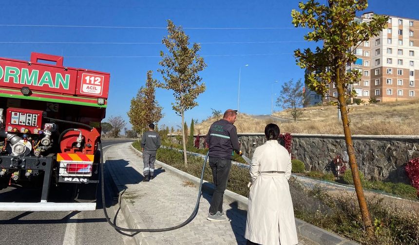Yozgat Caddelerinde Yeşil Seferberlik: Ağaçlar Arazözlerle Sulandı ve İlaçlandı!