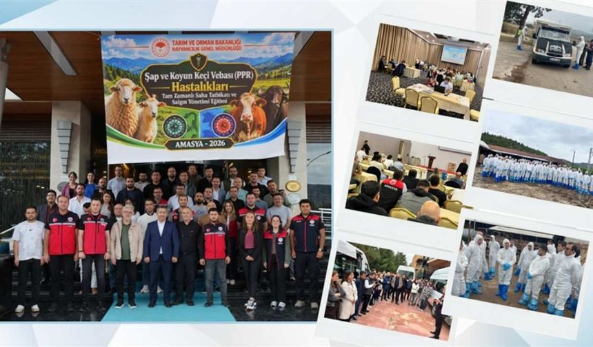 Yozgat Tarım Ekibi Amasya’da Dev Tatbikatta: Şap ve Veba Salgınına Karşı Alarm!